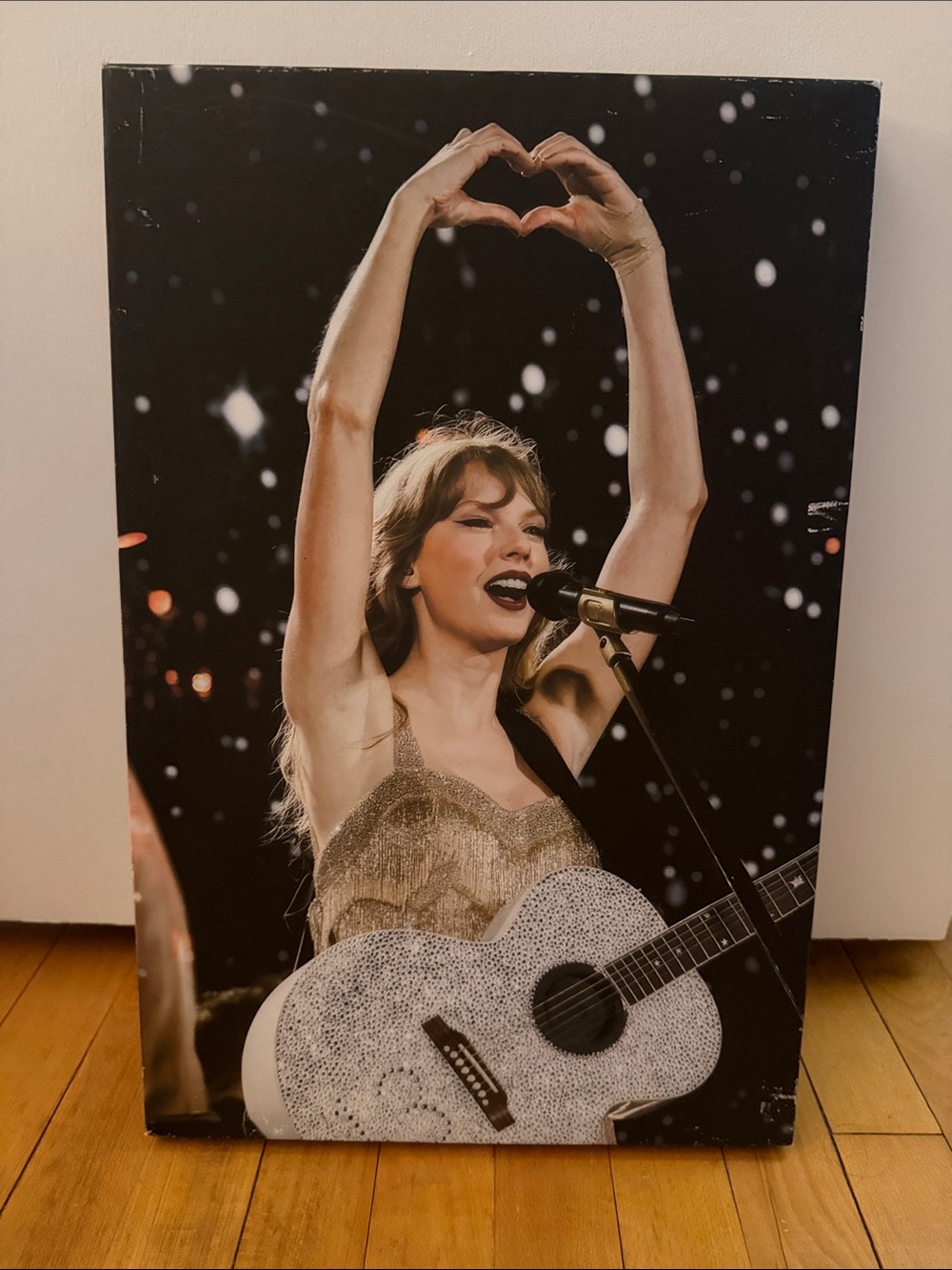 Taylor Swift Canvas 19.25in x 12.5in x 1.5in